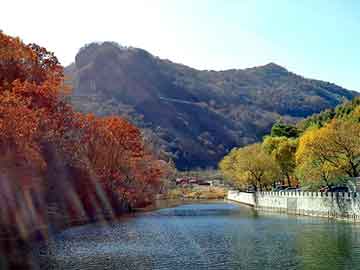 澳门二四六天天彩图库，都市重生小说